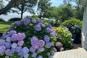 351 Whidah Rd, Chatham, MA 02650 - Photo 17