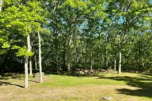 81 Whalers Walk, Edgartown, MA 02539 - Photo 3