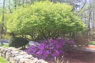 12 Joseph Reed Ln, Acton, MA 01720 - Photo 41