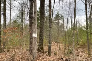 11-L New Athol Rd, Petersham, MA 01366 - Photo 1