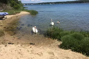 94 Weaver Ln, Tisbury, MA 02568 - Photo 35