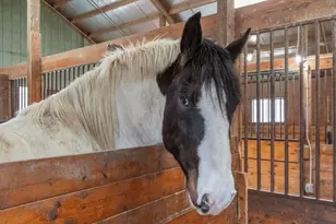 190 Hardwick, Petersham, MA 01366 - Photo 13