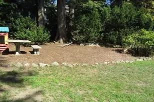 81 Church St, Newton, MA 02458 - Photo 19