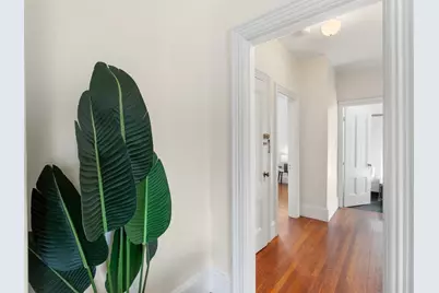 26 Linnaean St #3, Cambridge, MA 02138 - Photo 11