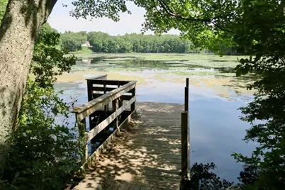 152 Chestnut Cir #152, Lincoln, MA 01773 - Photo 39