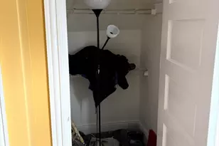 28 Vernal, Everett, MA 02149 - Photo 17