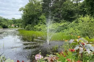 8 Scraggy Neck Rd Ext, Bourne, MA 02534 - Photo 5