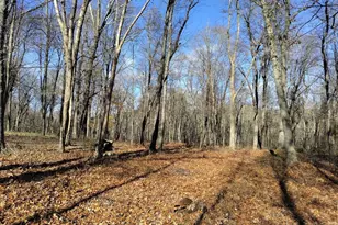 125 Topsfield Rd, Ipswich, MA 01938 - Photo 1