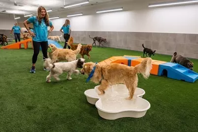 240 Devonshire Street #U3814, Boston, MA 02110 - Photo 39