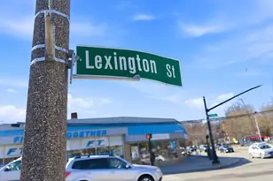 160 Pine St, Newton, MA 02466 - Photo 35