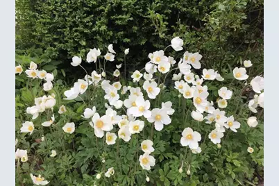 918 Hale Street, Beverly, MA 01915 - Photo 37