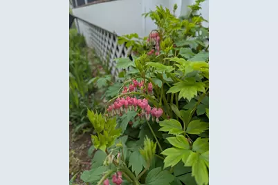 26 John Edward Dr, Northborough, MA 01532 - Photo 37