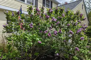 26 John Edward Dr, Northborough, MA 01532 - Photo 39