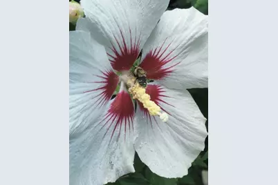 117 Draper Rd, East Brookfield, MA 01515 - Photo 27