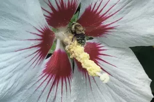 117 Draper Rd, East Brookfield, MA 01515 - Photo 27