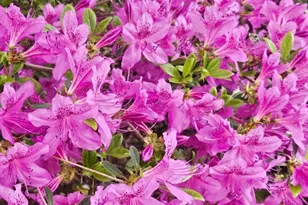 117 Draper Rd, East Brookfield, MA 01515 - Photo 23