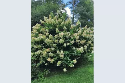 117 Draper Rd, East Brookfield, MA 01515 - Photo 25