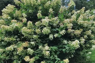 117 Draper Rd, East Brookfield, MA 01515 - Photo 25