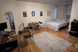 290 Commonwealth Ave, Boston, MA 02115 - Photo 9