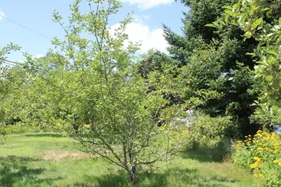 727 Brattleboro Rd, Bernardston, MA 01337 - Photo 25