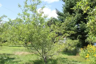 727 Brattleboro Rd, Bernardston, MA 01337 - Photo 25