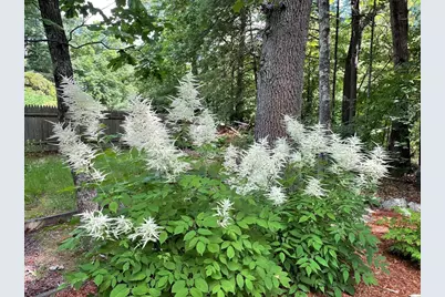 1015 Johnson, North Andover, MA 01845 - Photo 5