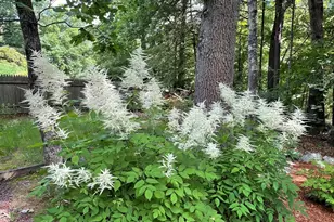 1015 Johnson, North Andover, MA 01845 - Photo 5