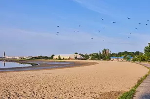 176 Coleridge St, Boston, MA 02128 - Photo 15