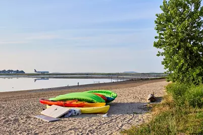 176 Coleridge St, Boston, MA 02128 - Photo 13