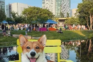 2 Earhart St, Cambridge, MA 02141 - Photo 39