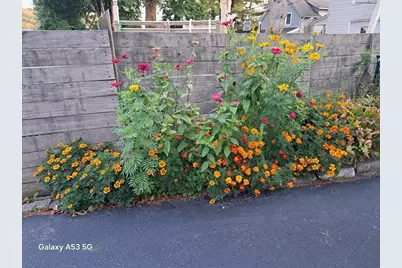 40 Ames St #3, Worcester, MA 01604 - Photo 7