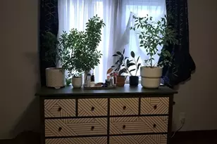 40 Ames St, Worcester, MA 01604 - Photo 19