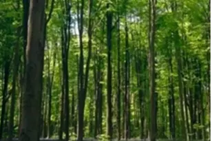 Lot 4 Winterberry Ln, Easton, MA 02356 - Photo 1