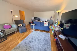 33 Pond Ave, Brookline, MA 02445 - Photo 3