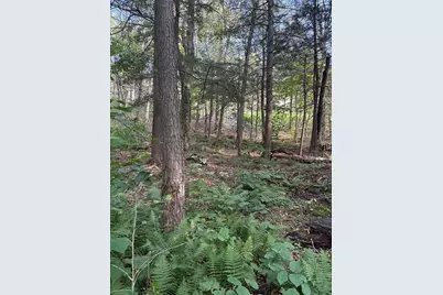 Ts12 &ttr8 Slope Rd & Traaack, Tolland, MA 01034 - Photo 3