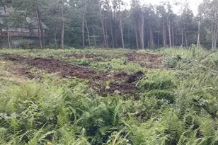 Ts12 &ttr8 Slope Rd & Traaack, Tolland, MA 01034 - Photo 1