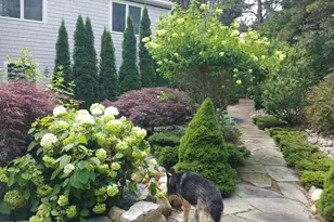 34 Polaris Dr, Mashpee, MA 02649 - Photo 5