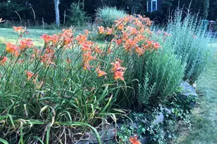 42 Partridge Cir, Brewster, MA 02631 - Photo 23