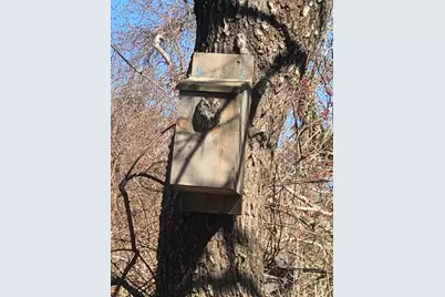 42 Partridge Cir, Brewster, MA 02631 - Photo 21