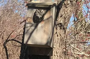 42 Partridge Cir, Brewster, MA 02631 - Photo 21