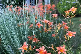 42 Partridge Cir, Brewster, MA 02631 - Photo 19