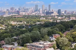 249 Corey Rd, Boston, MA 02135 - Photo 19