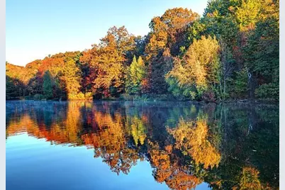 95 Lanseer #2, Boston, MA 02132 - Photo 29