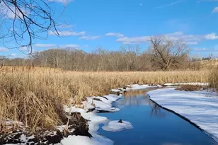 95 Landseer, Boston, MA 02132 - Photo 31