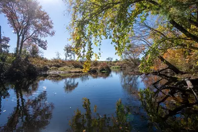 242 Main #102, Millis, MA 02054 - Photo 15