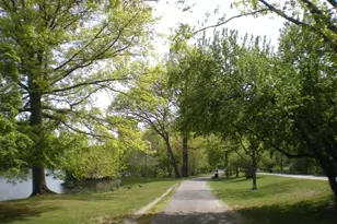 33 Pond Ave, Brookline, MA 02445 - Photo 25