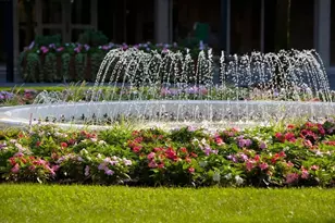 33 Pond Ave, Brookline, MA 02445 - Photo 23