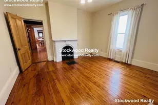 36 Spring Garden St, Boston, MA 02125 - Photo 9