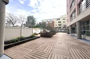 20 Webster St, Brookline, MA 02446 - Photo 33