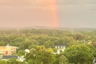 250 Hammond Pond Pkwy, Newton, MA 02467 - Photo 13